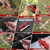 WORKPRO 18-in-1 Multi Tool Pliers with Pocket Knife