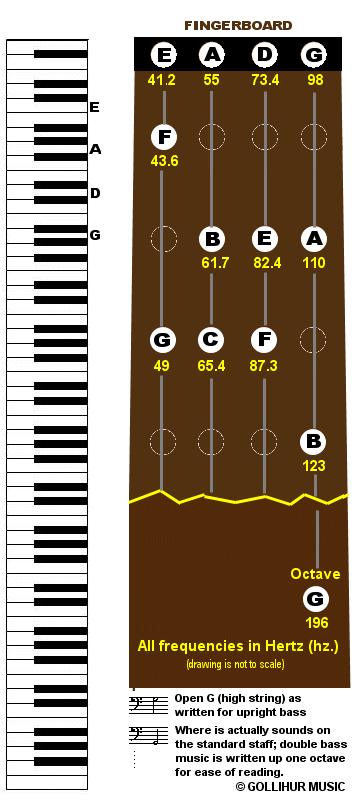 Chart of the Frequencies of the Notes on an Upright Bass