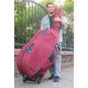 Upright Bass Buggie Bass Transporter (Bass Buggy), with bass in bag