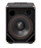 Magellan-ULV-112T speaker - grill off