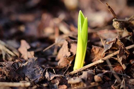 A "To-Do List" for Getting Back Out There