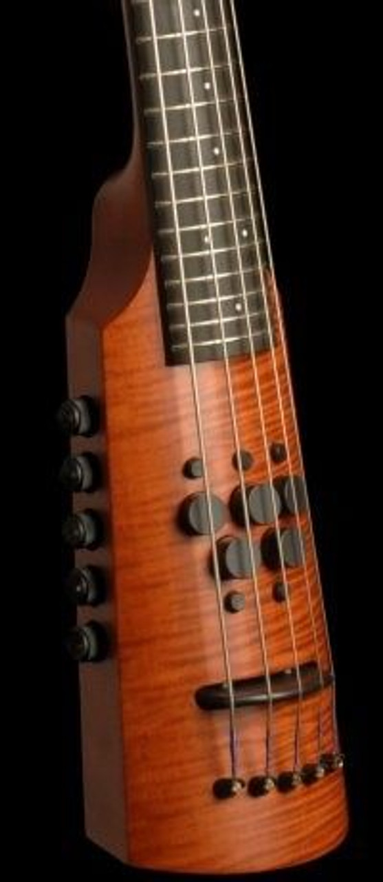 OMNI Bass by NS Design (CR Series) - Compact Electric Upright Bass