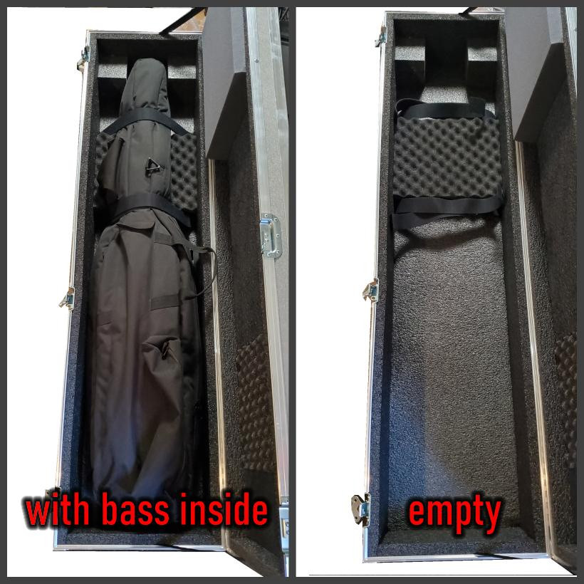 electric bass hard case