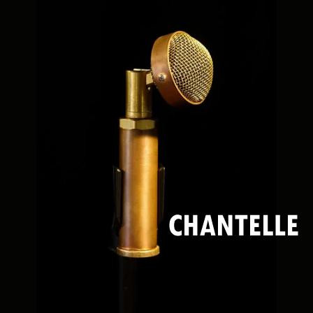 Ear Trumpet Labs Handmade Microphones - Selection