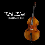 Lots of New Stuff at Gollihur Music - New Basses, New Accessories, New CLEARANCE