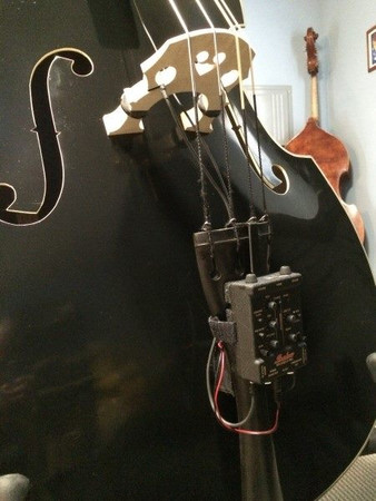 Estle Louis 'Ed' - Our Complete Rockabilly Bass PACKAGE,  pickup system