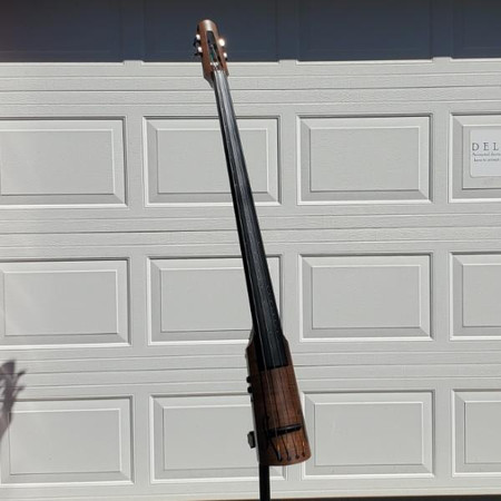 SPECIAL EDITION Gollihur Exclusive NXTa Active Traditional Bass by NS Design, full