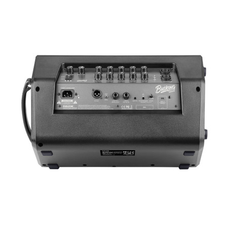 Busking 200FR - Portable Battery-Powered Combo Amp - from behind