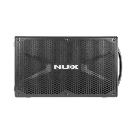Busking 200FR - Portable Battery-Powered Combo Amp - front view