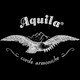 Aquila