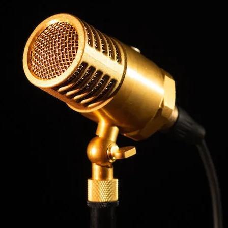Wanda Condenser mic