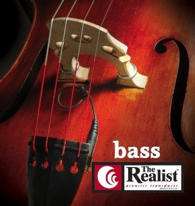 bassrealist__98818.1614095264.