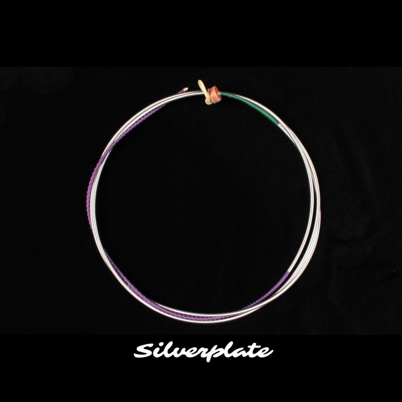 Pistoy, Lyon, Silver and Copper Wound Natural Gut Upright Bass