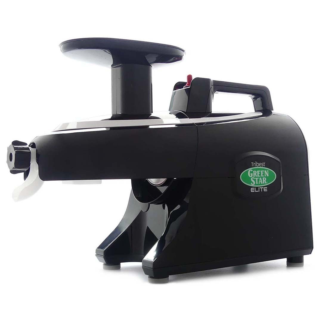 Green Star Elite GSE-5010 Twin Gear Slow Juicer in Black