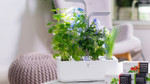 Is Veritable The Ideal Indoor Garden?