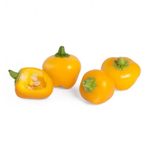 Veritable Mini Yellow Pepper Lingots