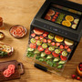 Excalibur 6 Tray Performance Digital Dehydrator in Stainless Steel (DH06SSSS33G)