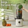 Hurom H80ST Pure Press Self-Feeding Slow Juicer in Matte Black