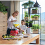 KitchenAid Artisan High Performance Blender Limited Edition in Queen of Hearts Passion Red