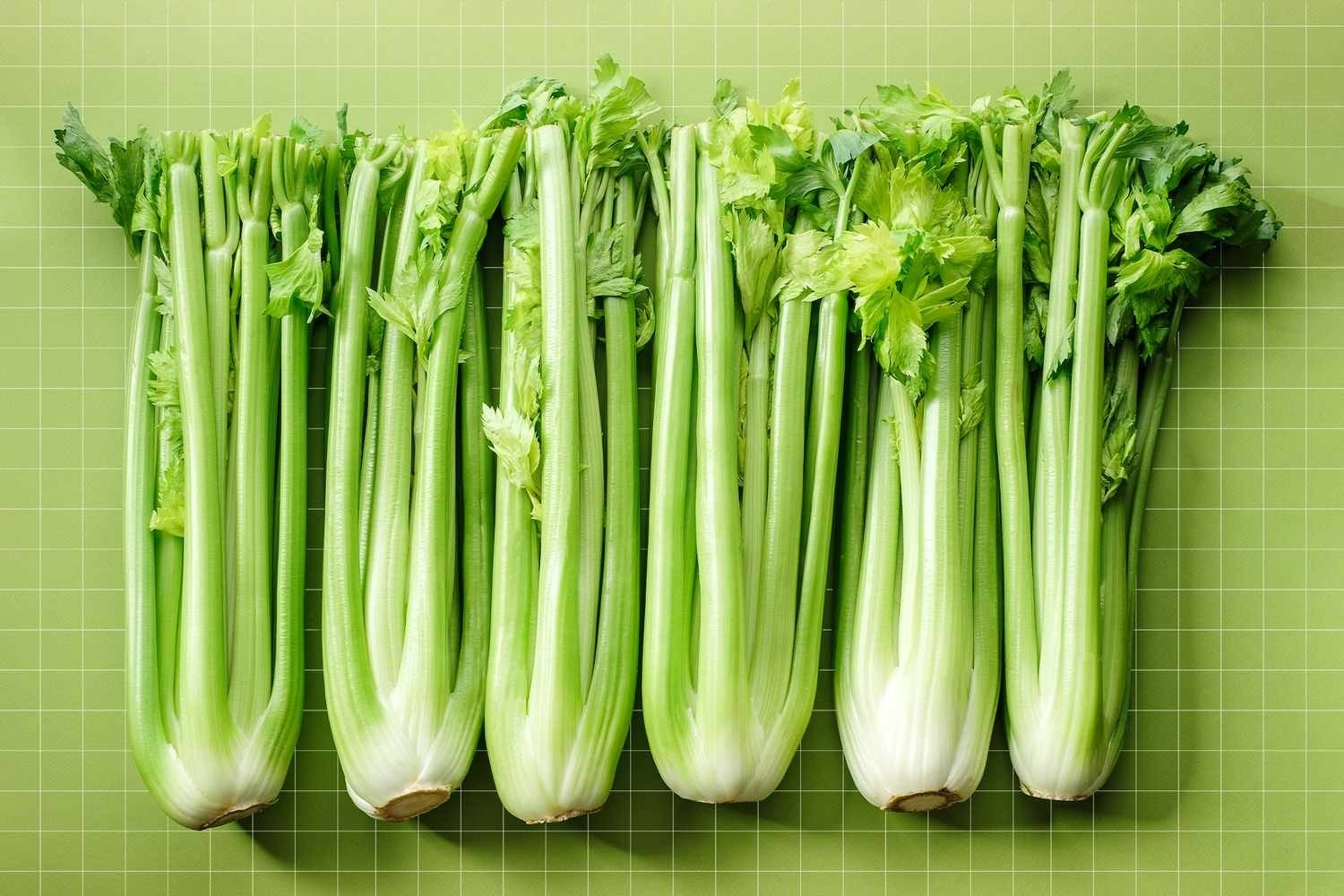Celery Juicers