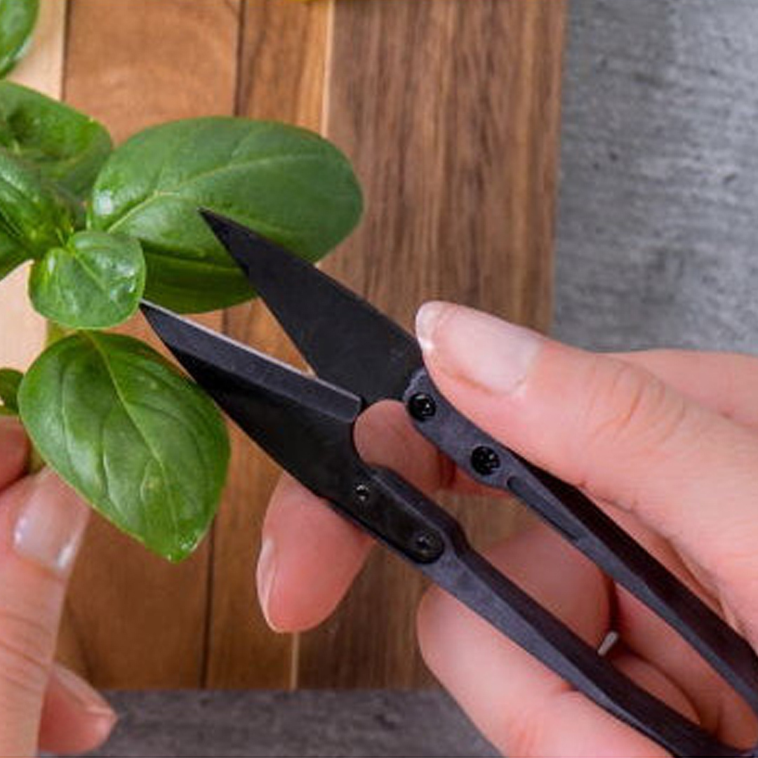 Veritable Accessories