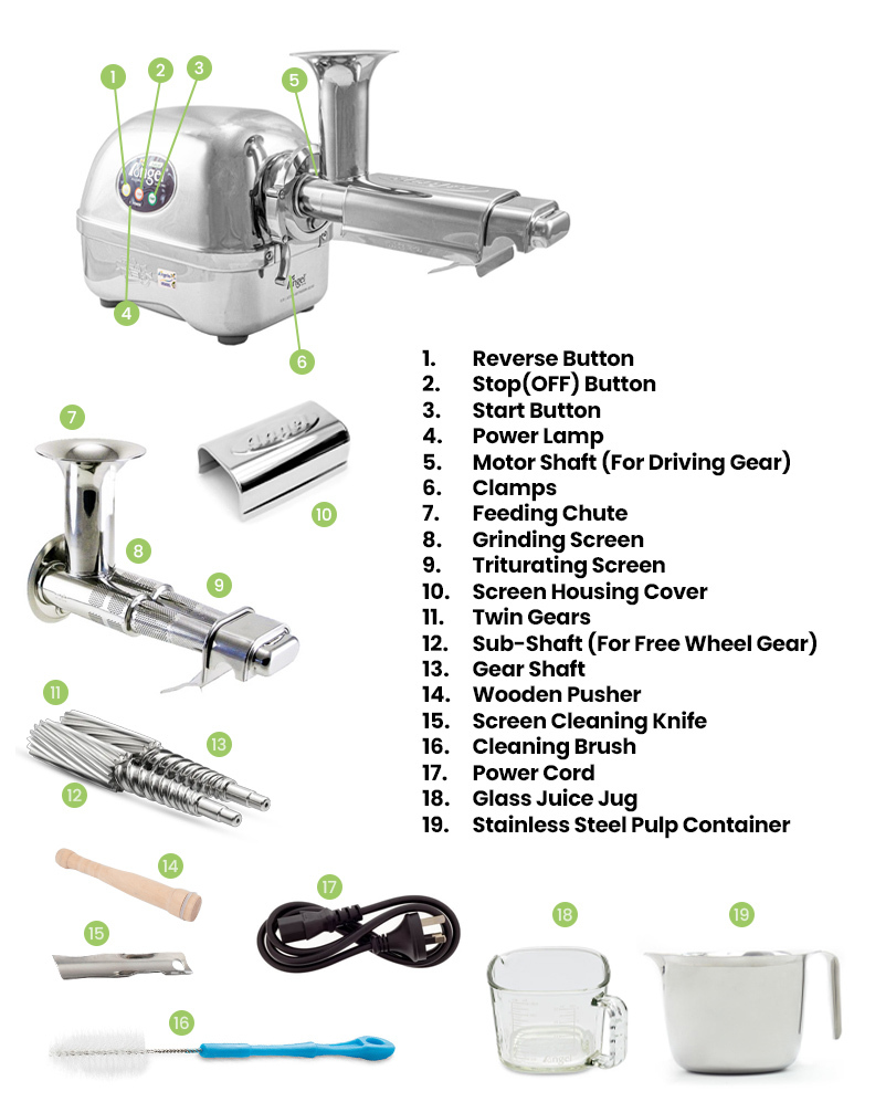 angel-contents.jpg angel-contents.jpg