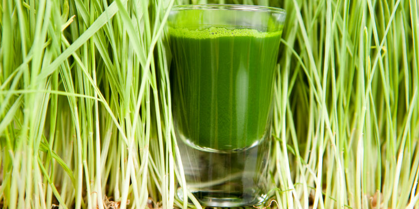 wheatgrass-shot.jpg