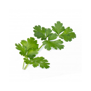 Veritable Italian Parsley Lingots