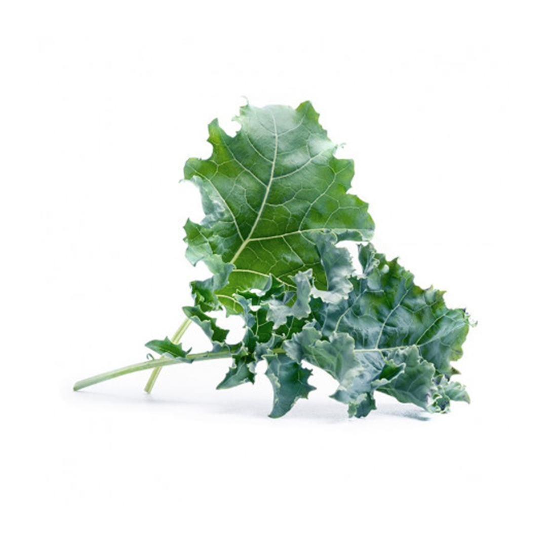 Veritable Smart Home Garden Kale Lingots