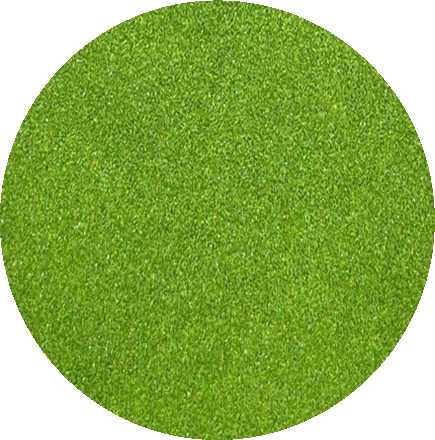 HOLOGRAPHIC ULTRA FINE SHIMMER#2