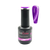 GRAPE GATSBY GLOW IN THE DARK