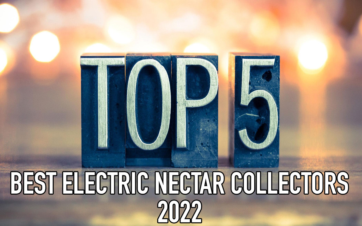 5 Best Electric Nectar Collector Devices of 2022