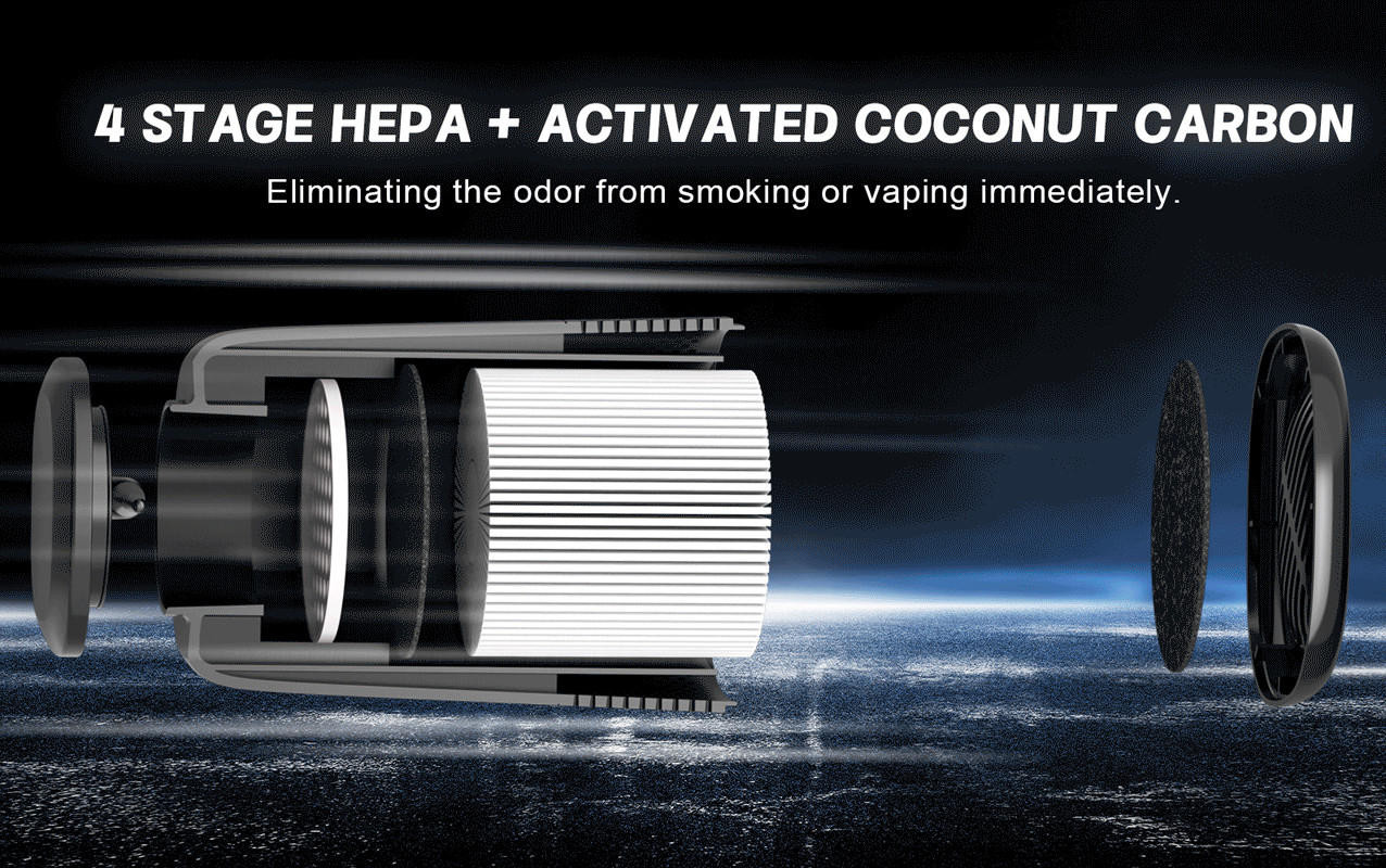Green Air Encore Hepa And Odor Fighting Filter Air Purifier
