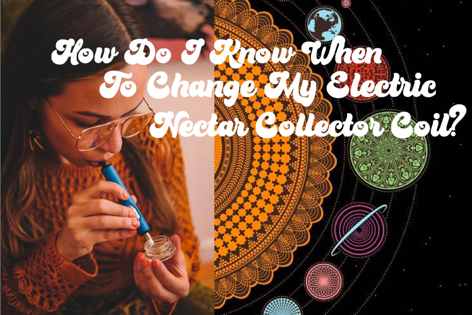 5 Best Electric Nectar Collector Devices of 2022