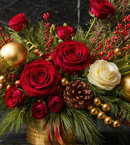 Holiday Special Price