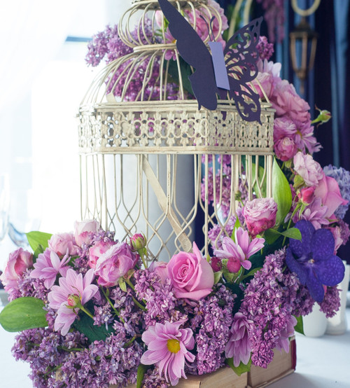 BEST SELLER! Birdcage Vintage & Blooms {5} Colors From BEST SELLER! Birdcage Vintage & Blooms {5} Colors From
