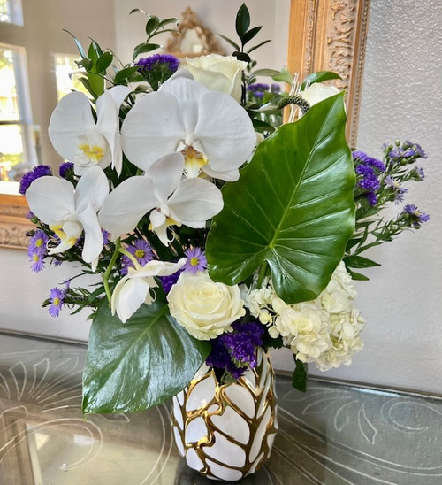 Orchid Delight & Featured Vase From