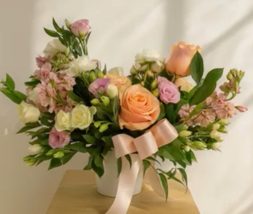 Gentle Grace Gentle Grace