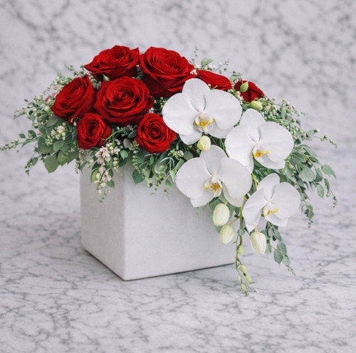 Romance Kiss 7 Available