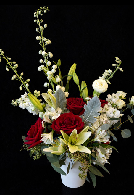 You Light Up My Life