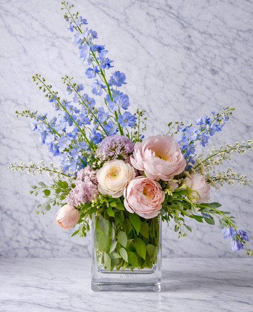 Rainbow Collection (2) Colors