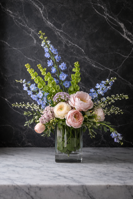 Rainbow Collection (2) Colors