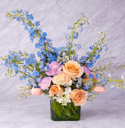 Rainbow Collection (2) Colors