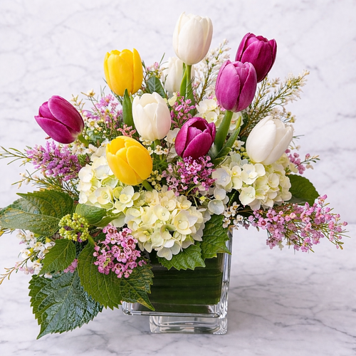 Love Tulips Low Profile 2 Colors