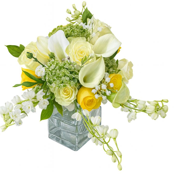 Light Up My Life 7 Color choices