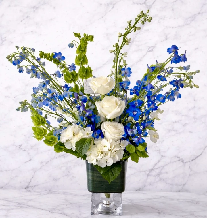 Sky Collection WEEKLY SPECIAL