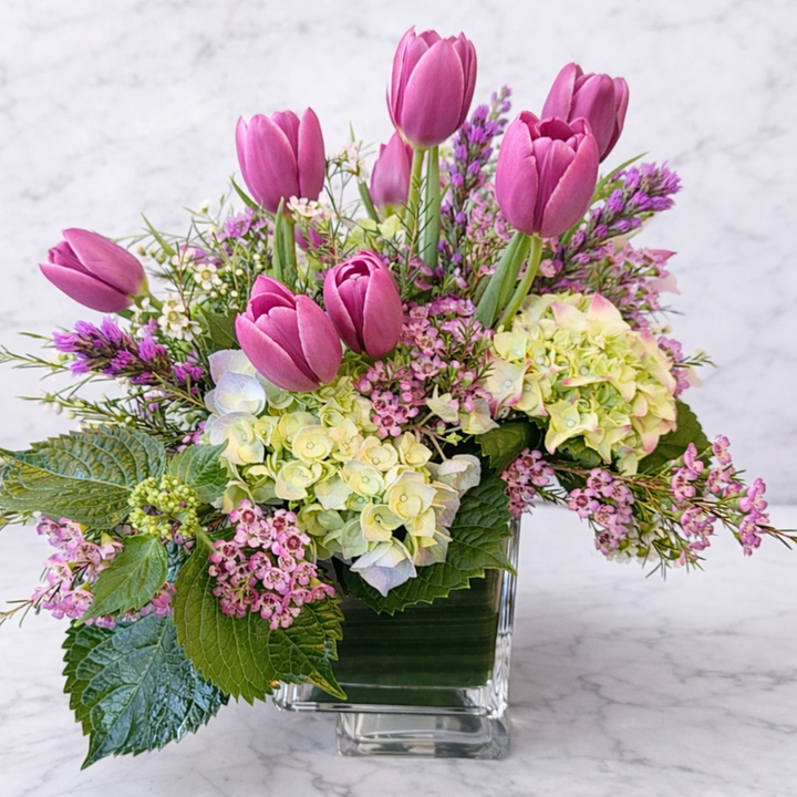 Love Tulips Low Profile 2 Colors