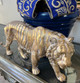 Sold Out Regal Lion & Snake Plant 2.5' ~ Designer Bow & Vase {3} Colors