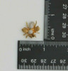 14K Yellow Gold Diamond Bee Pin, Diamond Body and Thorax, Circa 1980