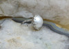 Vintage Platinum Mabe Pearl Ring with Diamond Accent Band Circa 1950, Size